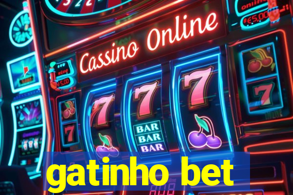 gatinho bet